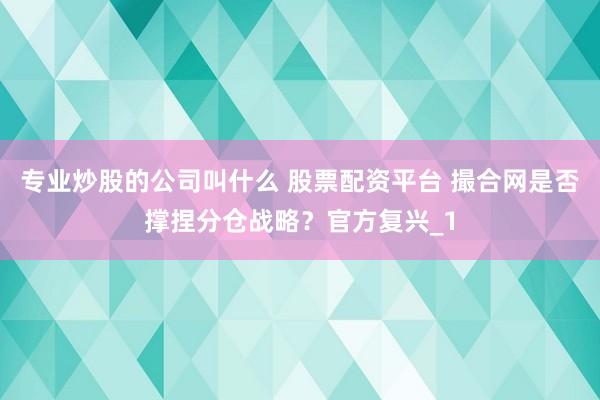 专业炒股的公司叫什么 股票配资平台 撮合网是否撑捏分仓战略？官方复兴_1